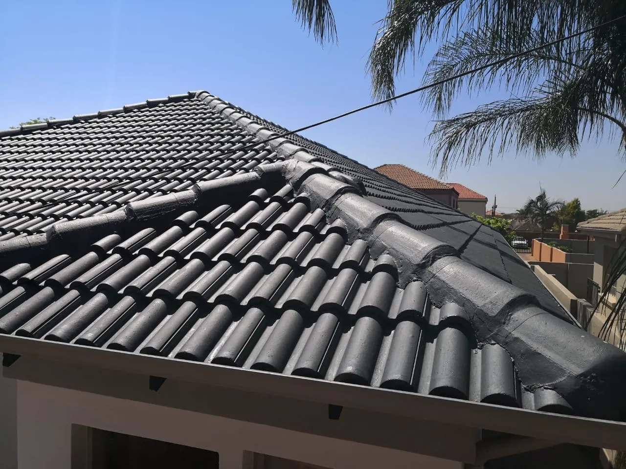 Roof Waterproofing and Painting Project